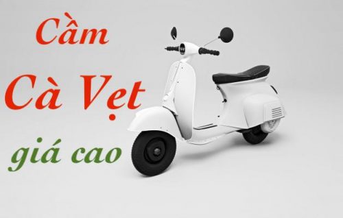 Cầm cà vẹt xe máy Đà Nẵng được bao nhiêu tiền?